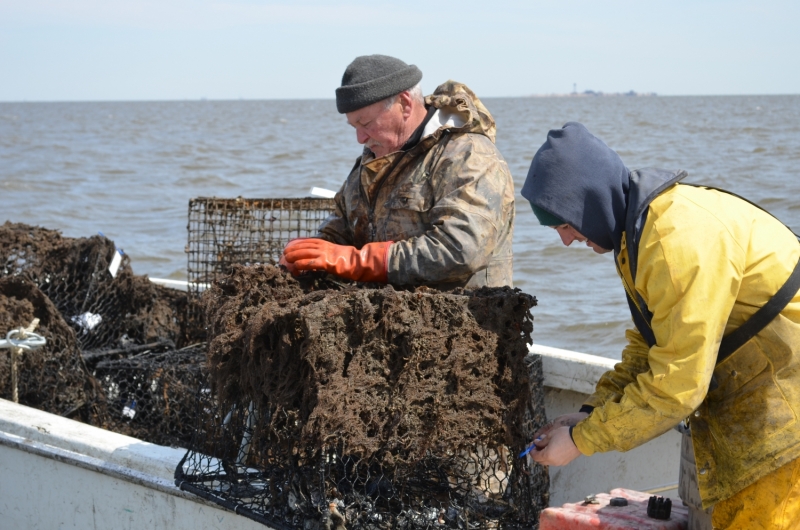 Two people load derelict crab pots onto a boat.