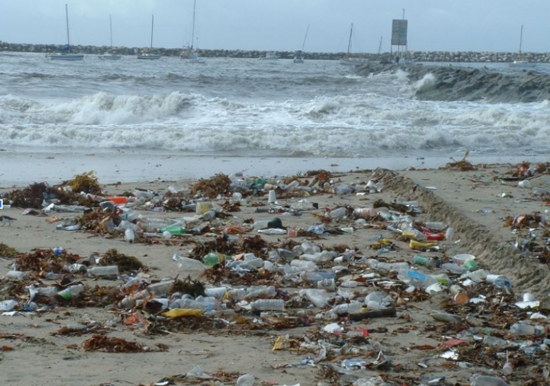 A beach in California is nearly covered in plastic, marine debris.