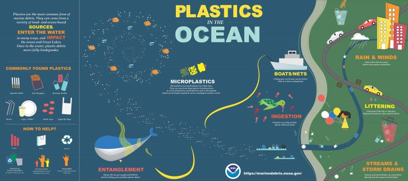 Infographic on plastics in the ocean, how they get there, and what their impacts are.