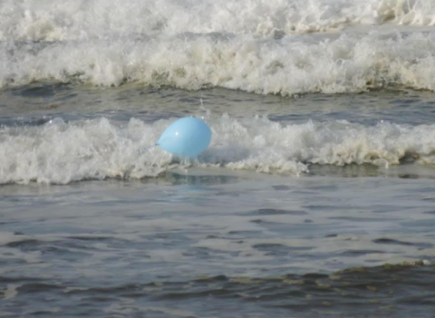 Latex balloon in a wave.