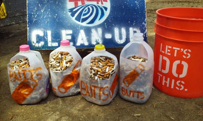 Cigarette butts removed during a beach cleanup. 