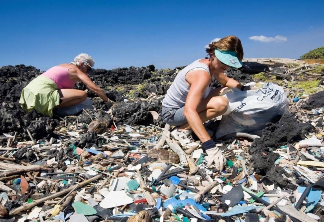 People picking up plastic debris on a beach.