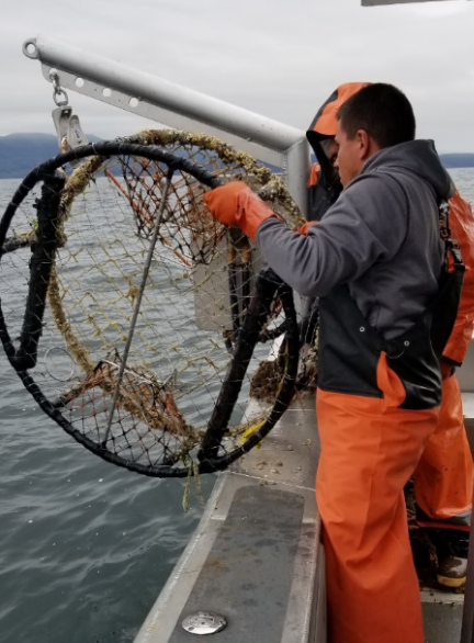 Two removal team members lift a derelict crab pot out of the ocean. 