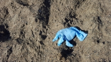 A rubber (latex) glove found on the beach in California.