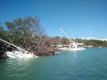 Boats washed ashore by a hurricane. 
