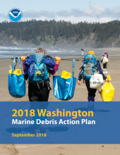Washington Marine Debris Action Plan cover.