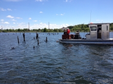 The NOAA Marine Debris Program is teaming up with Clean Bays to remove industrial debris from 18 miles of shoreline and nearshore environments in East Providence, Rhode Island. (Photo Credit: Keith Cialino, NOAA MDP)