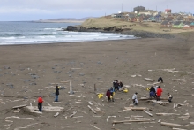 Cleanup volunteers removing debris on a beach.