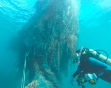 Large net lurking behind a diver. 