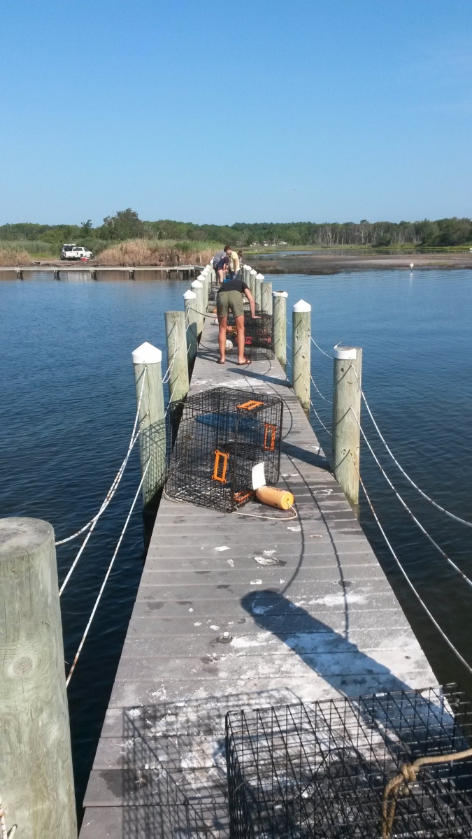 Removing Derelict Fishing Gear Across the Mid-Atlantic Region