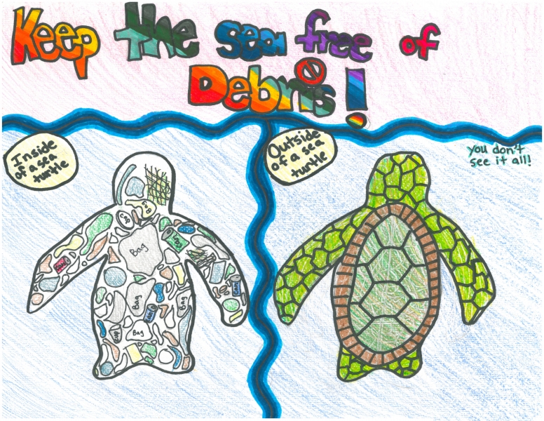 A child's drawing of a sea turtle versus a sea turtle filled with marine debris.