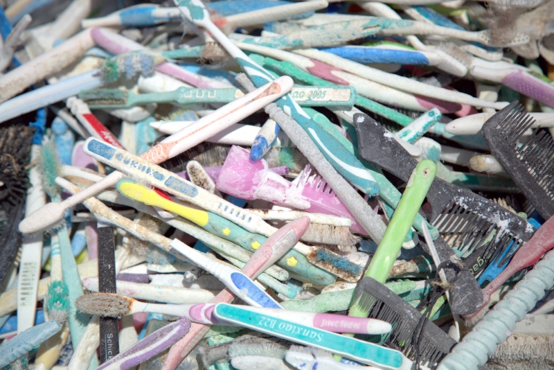 A pile of toothbrushes found in the ocean. 
