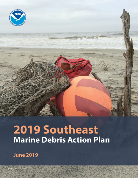 Cover of the 2019 Southeast Action Plan