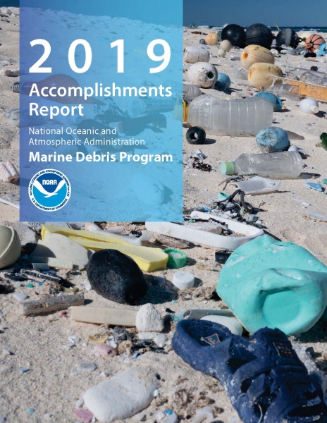 2019 Accomplishments Report Cover