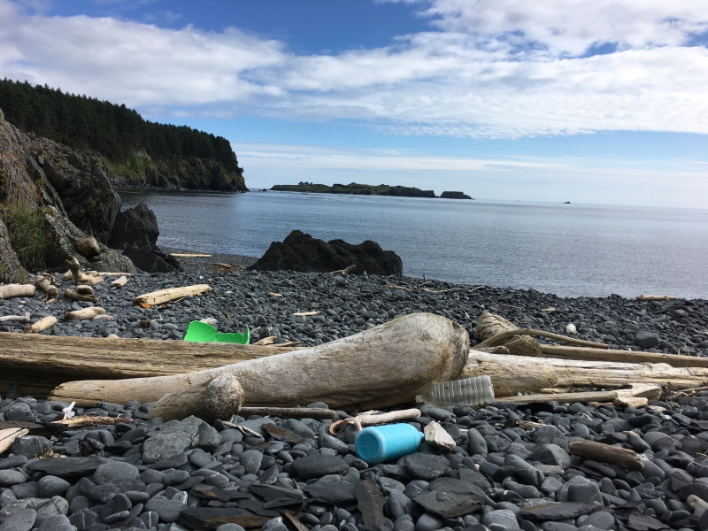 Plastic debris on rocky beach. 