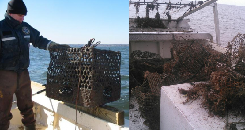 Someone holding a derelict crab pot and a  pile of derelict crab pots.
