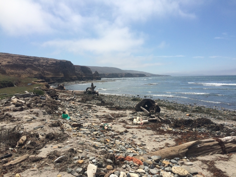 Debris on Tecelote Beach, Santa Rosa Island.