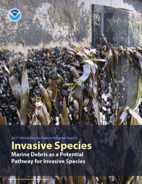 Cover of Marine Debris as a Potential Pathway for Invasive Species report.