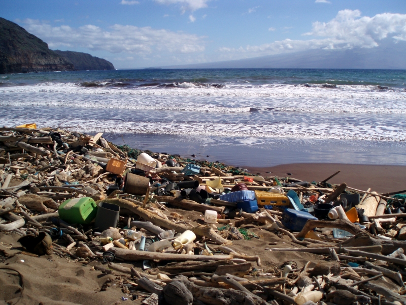 Plastic debris on a pretty beach.