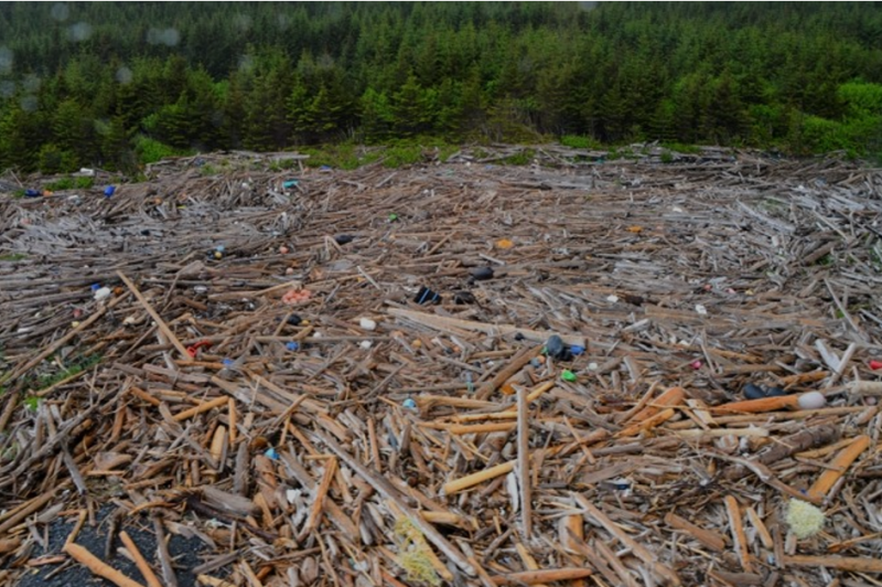 Large amounts of debris at a beach in the Gulf of Alaska.