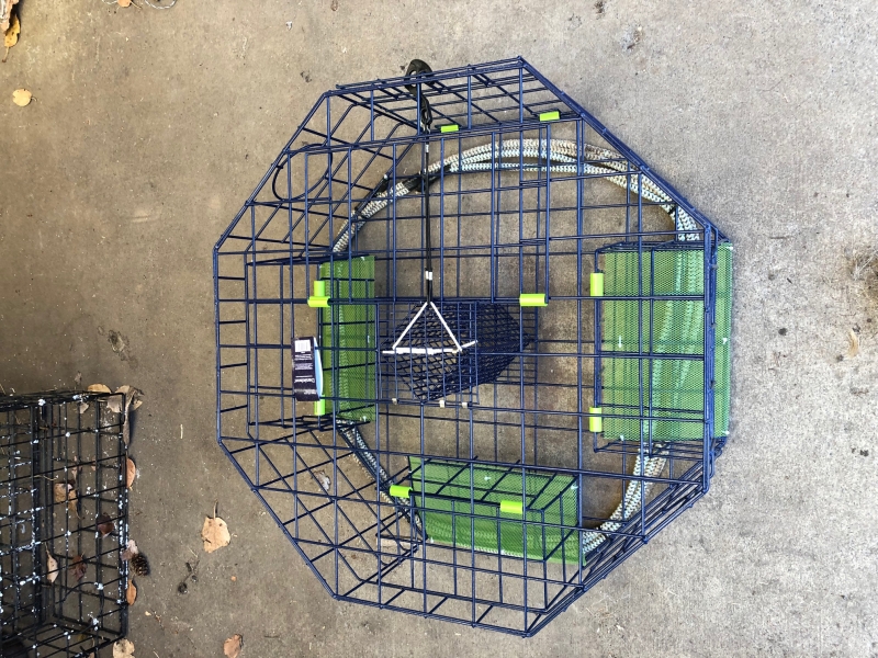 A top down view of a crab pot with three green panels that will dissolve over time.