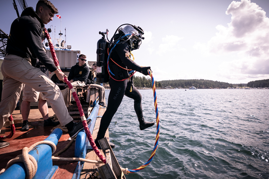 A SCUBA diver jumps off of the side of a boat into the water.
