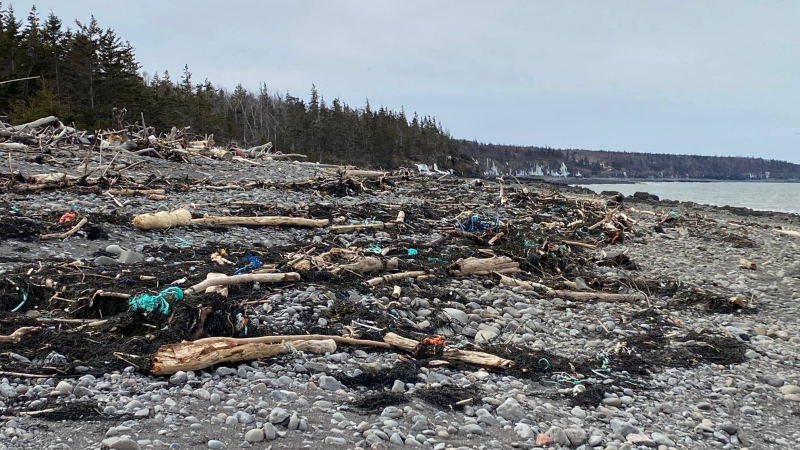 Marine debris scattered on a shoreline in Nova Scotia.
