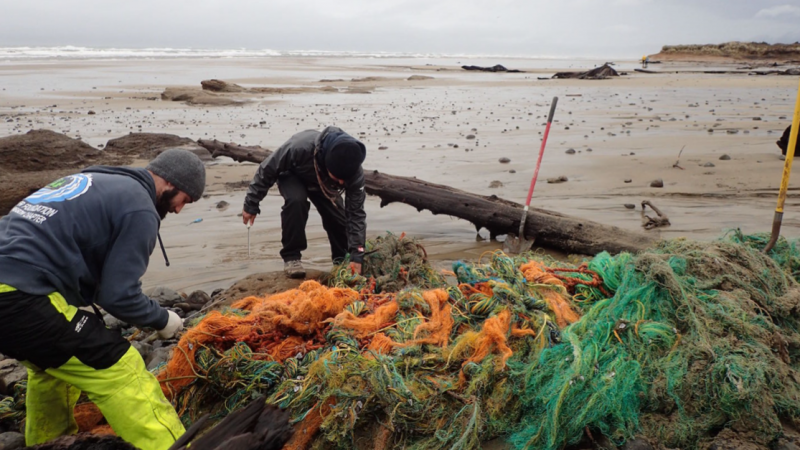 Two people cleaning up derelict fishing nets on a beach.