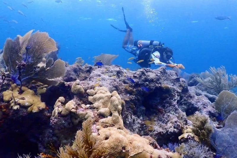A diver collecting underwater marine debris.