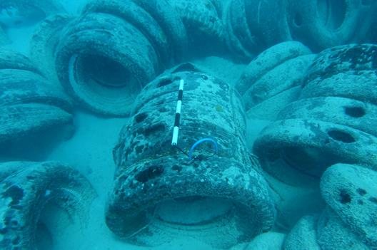 Numerous abandoned tires at the bottom of a sandy lagoon.