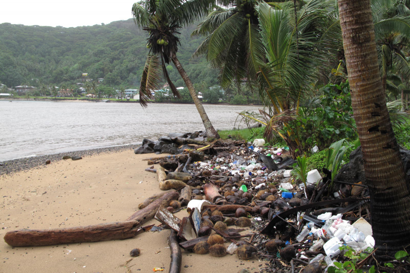 Take out containers, plastic bottles, and other debris on a beach in American Samoa.