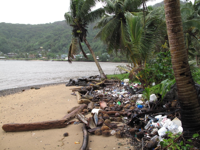 A beach with palm trees, littered with debris.