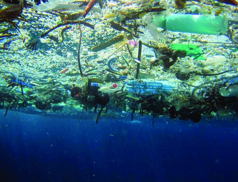 Underwater perspective of debris floating on the surface.