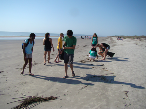 Marine debris beach cleanup volunteers track shoreline debris using the Marine Debris Tracker app.