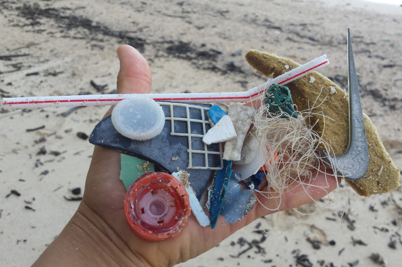 A hand holding an assortment of small marine debris collected from a sandy beach.