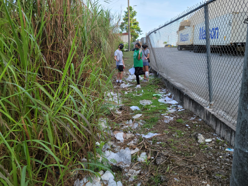 Students get ready to clean trash along a fence line.