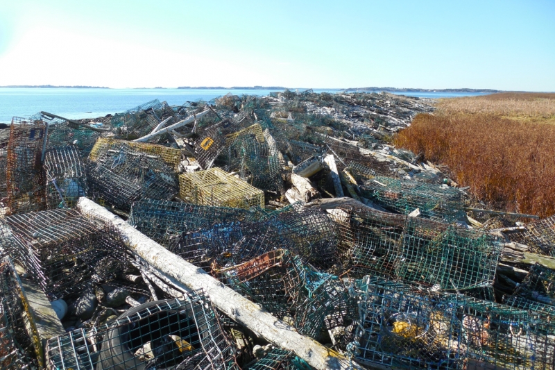 A large amount of marine debris along the shore of Hart Island.