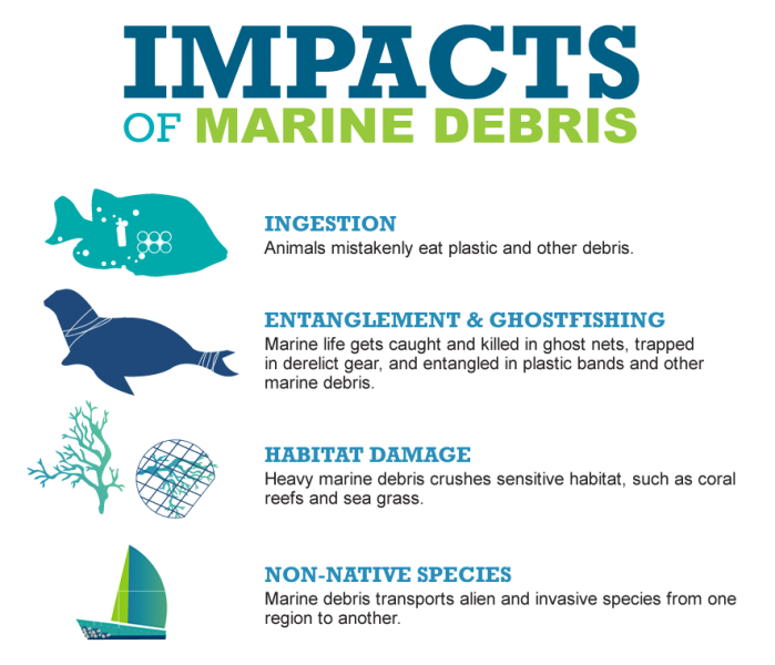 Impacts of marine debris: Ingestion, entanglement and ghostfishing, habitat damage, and non-native species introduction.