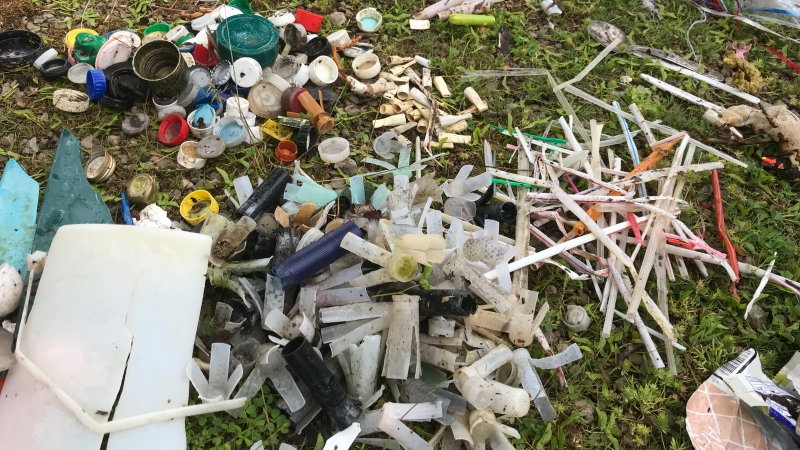 A collection of assorted plastic lake debris.