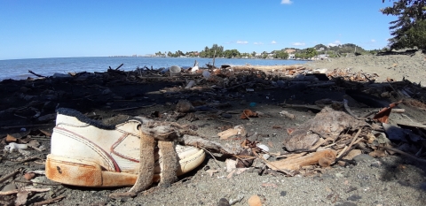 A shoe and other debris scattered on a sandy ocean beach.