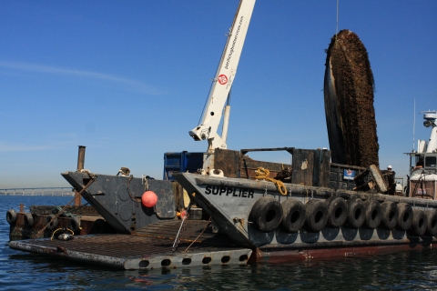 A derelict vessel being hauled out of the water with a crane.