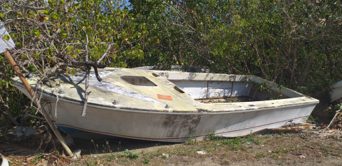 A damaged derelict vessels grounded in some vegetation.