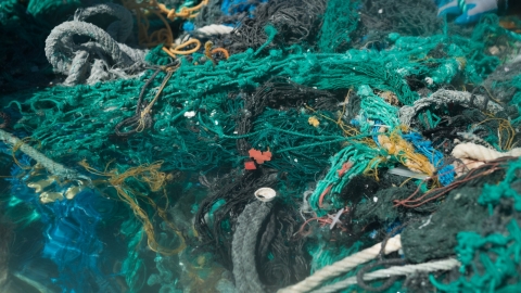Floating, green fishing nets located at Midway Island.