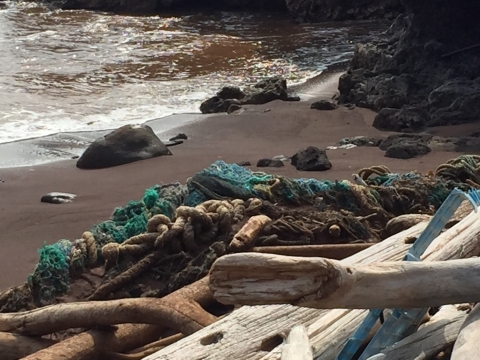 A derelict fishing net and driftwood on a beach.