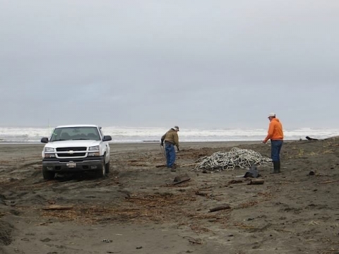 Two people collected nets off a beach.