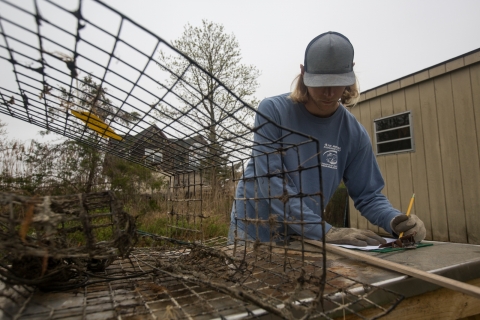 A technician recording information with a pencil and clipboard next to a recovered crab trap.