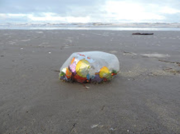 A Mylar balloon on the beach, found at the Long Beach Peninsula.