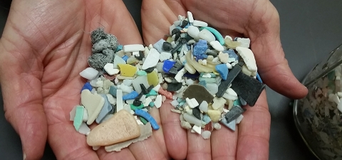 A pair of hands cup a collection of microplastics.