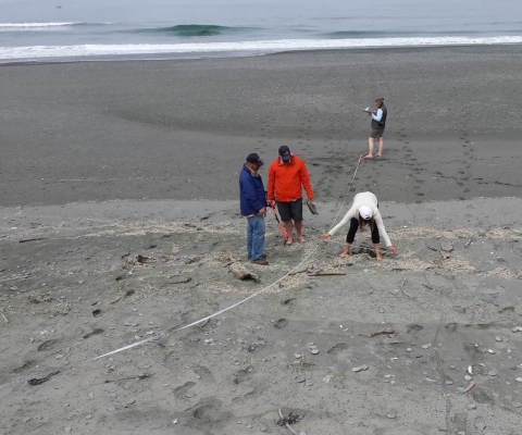 The team surveys Gold's Bluff Beach, CA.
