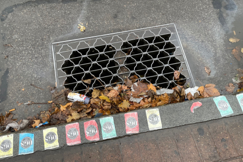 A storm drain in the street with a wire frame cover to keep out debris.